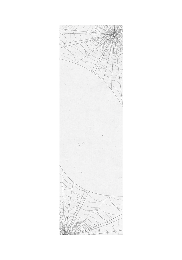 RAGDOLL'S WEB (WHITE) image 0