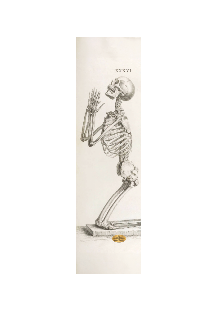 PENITENT image 0
